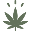 Thebrothersapothecary
